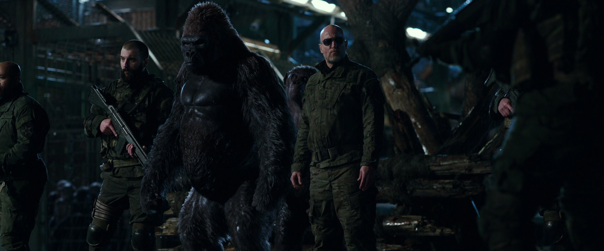 War for the Planet of the Apes (2017) movie still 11203