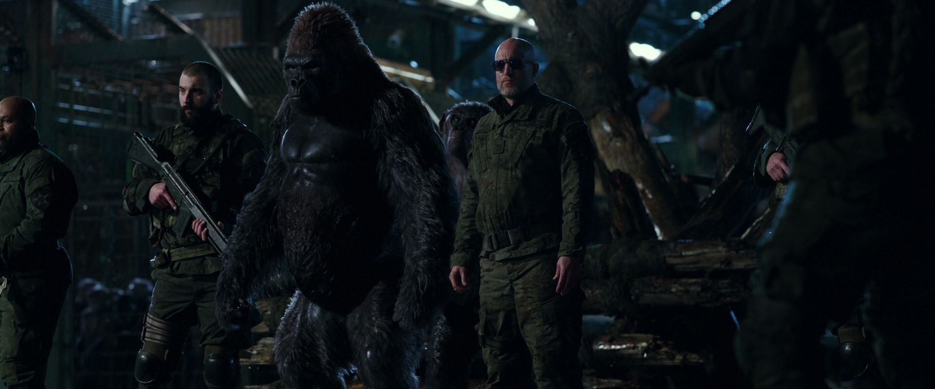 War for the Planet of the Apes (2017) HD screenshot 11204