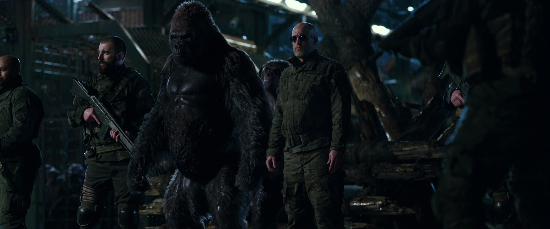 War for the Planet of the Apes (2017) screencap 11205
