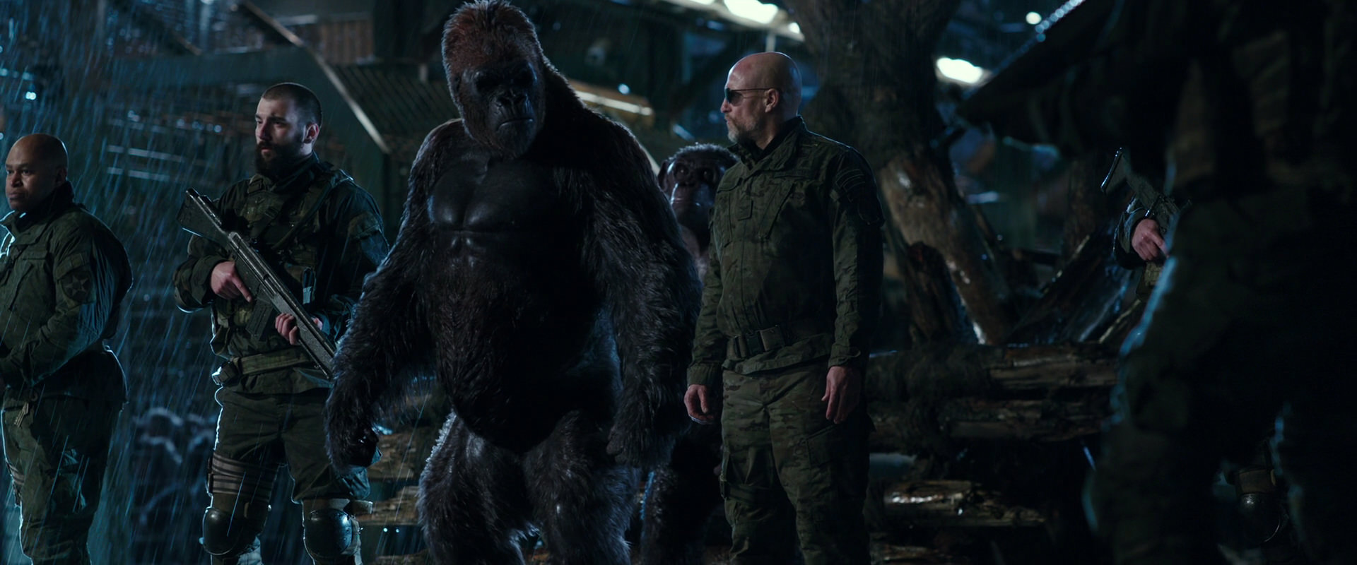 War for the Planet of the Apes (2017) screencap 11208