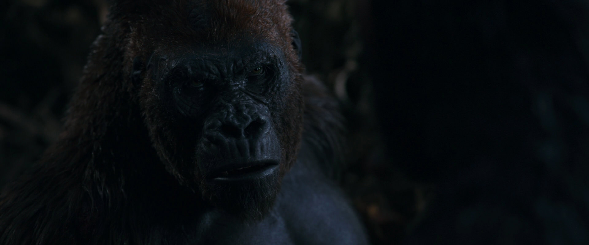 War for the Planet of the Apes (2017) HD screenshot 1121