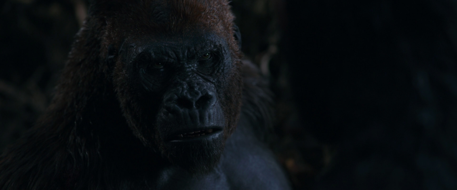 War for the Planet of the Apes (2017) screencap 1122