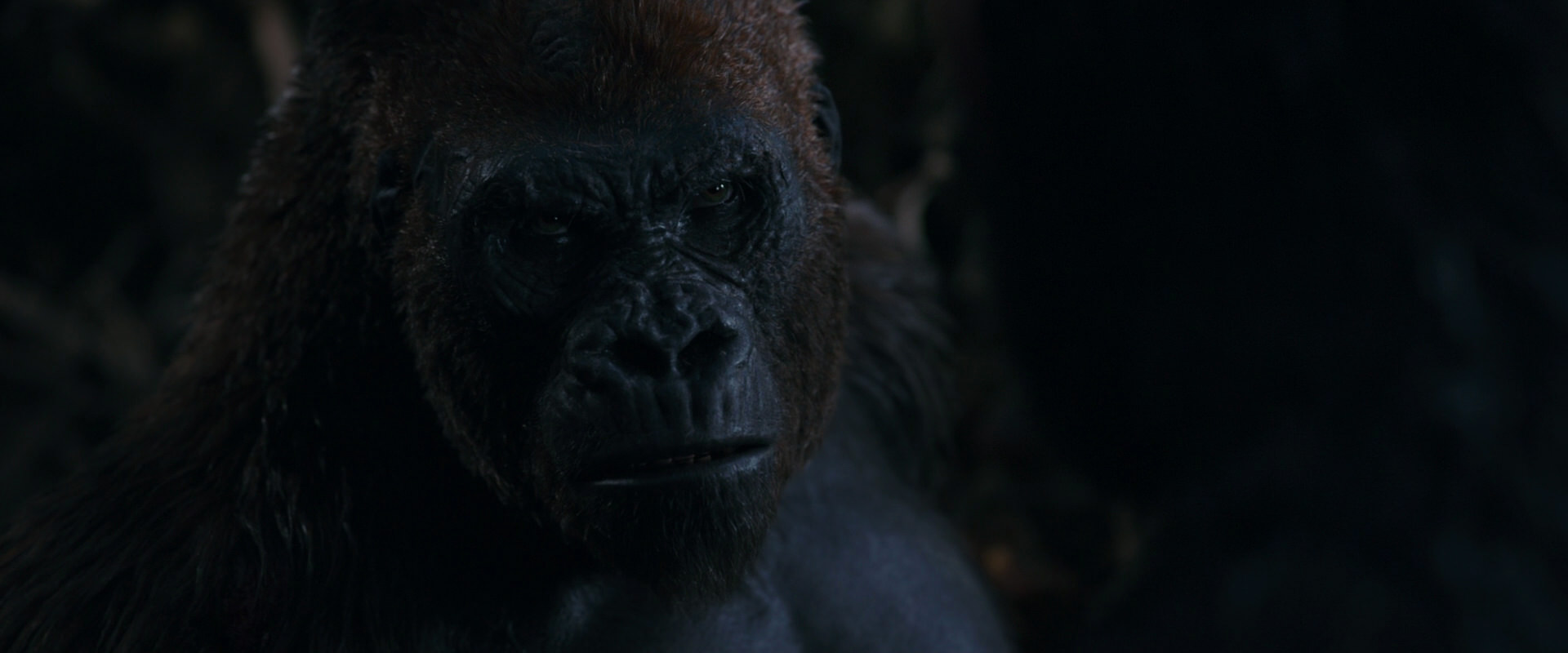 War for the Planet of the Apes (2017) movie still 1123