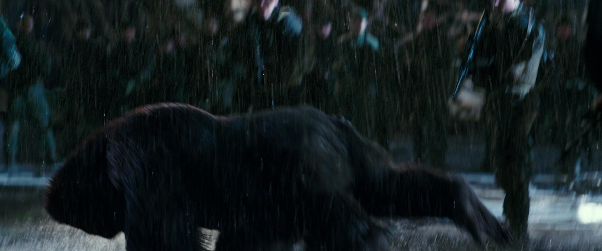 War for the Planet of the Apes (2017) movie still 11230