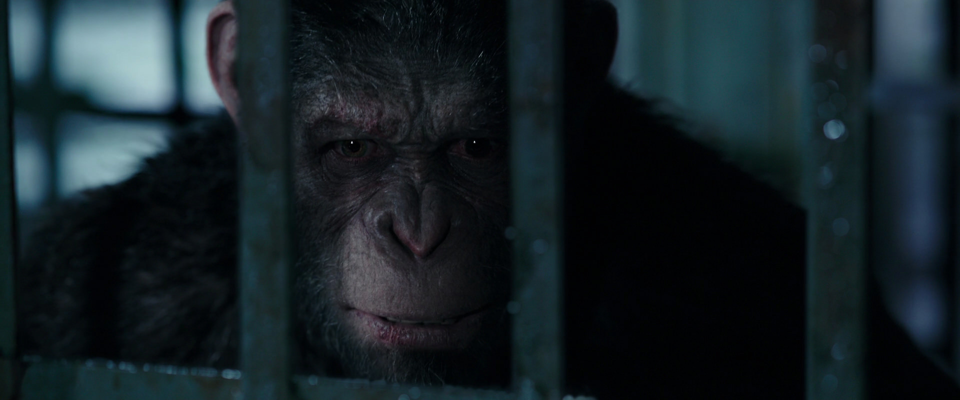 War for the Planet of the Apes (2017) movie still 11233
