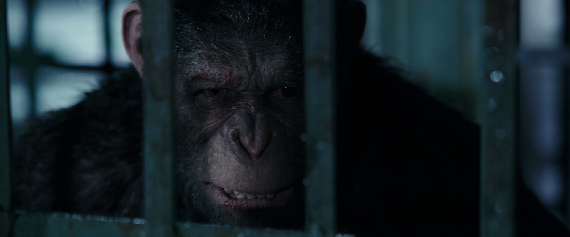 War for the Planet of the Apes (2017) HD screenshot 11234