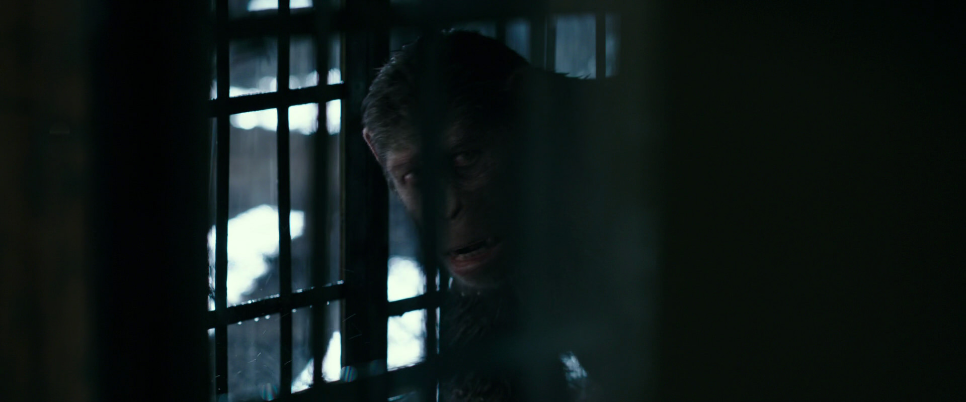 War for the Planet of the Apes (2017) screencap 11235