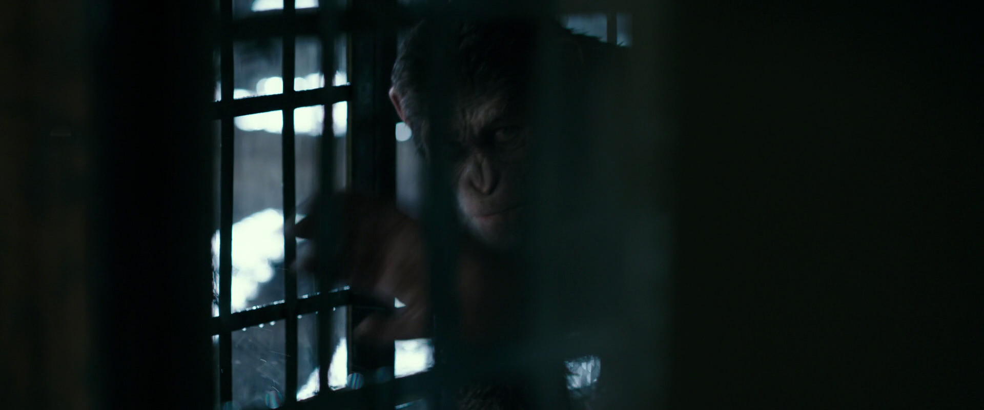War for the Planet of the Apes (2017) movie still 11236
