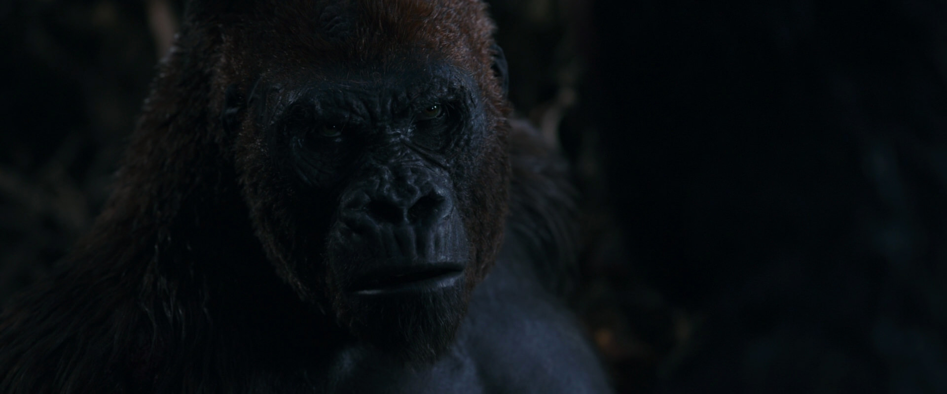 War for the Planet of the Apes (2017) HD screenshot 1124