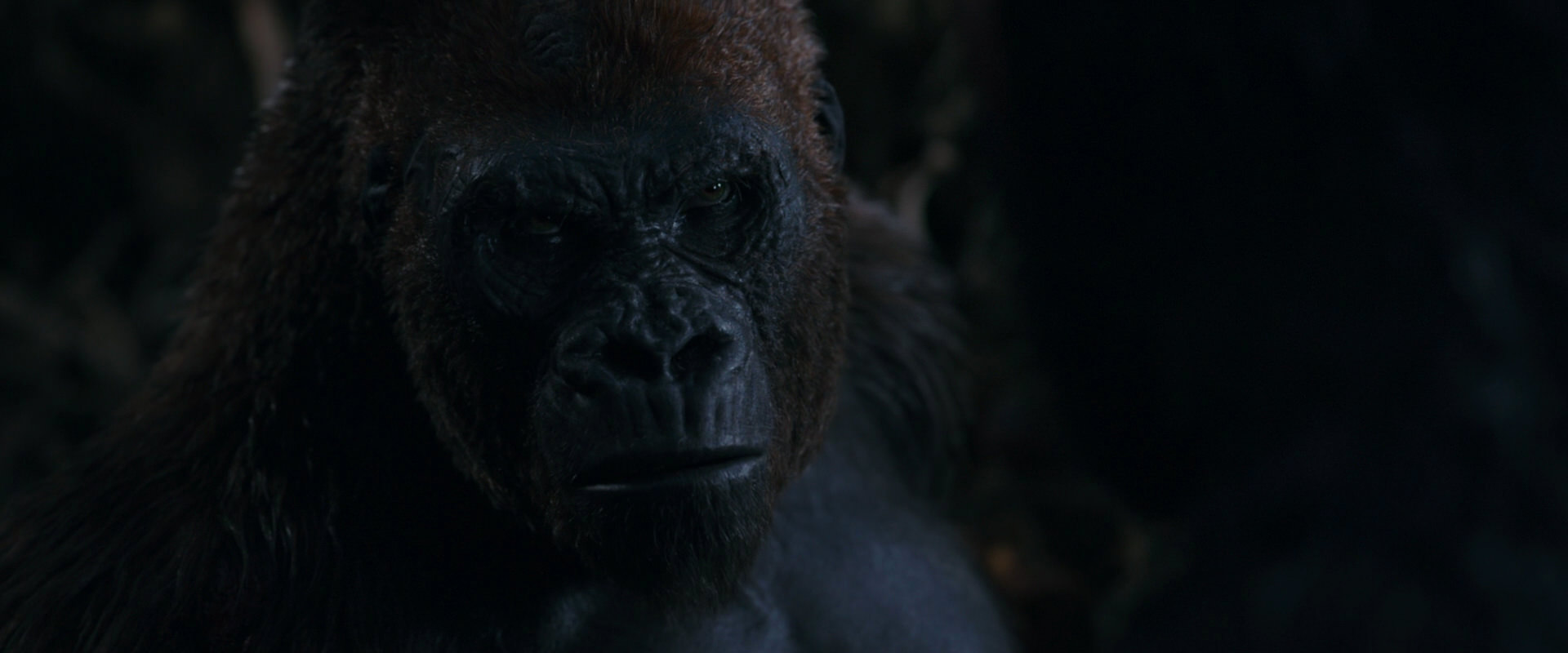 War for the Planet of the Apes (2017) screencap 1125