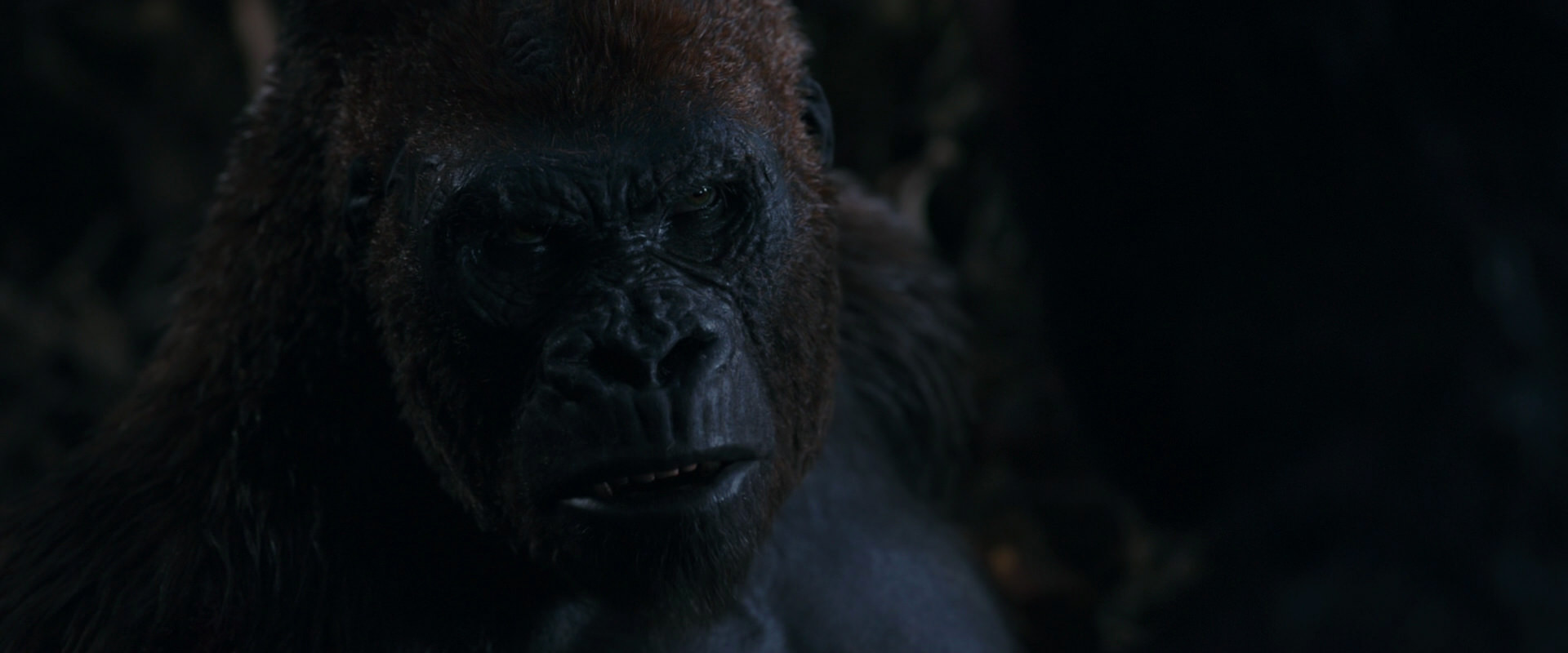 War for the Planet of the Apes (2017) movie still 1126
