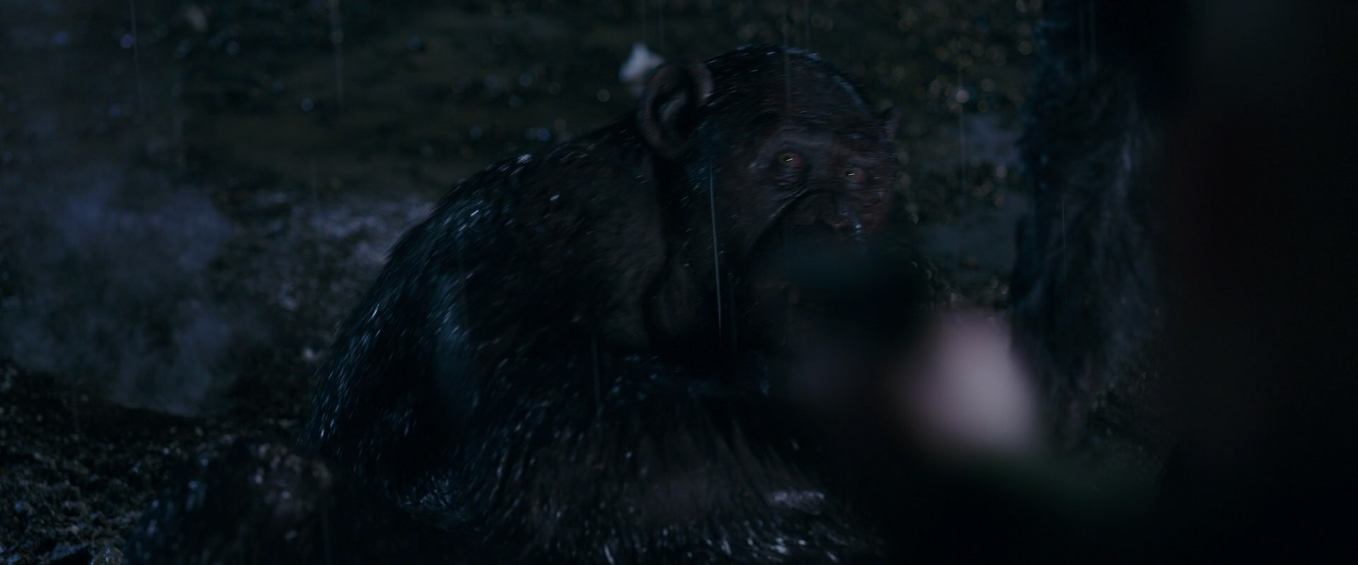 War for the Planet of the Apes (2017) HD screenshot 11261