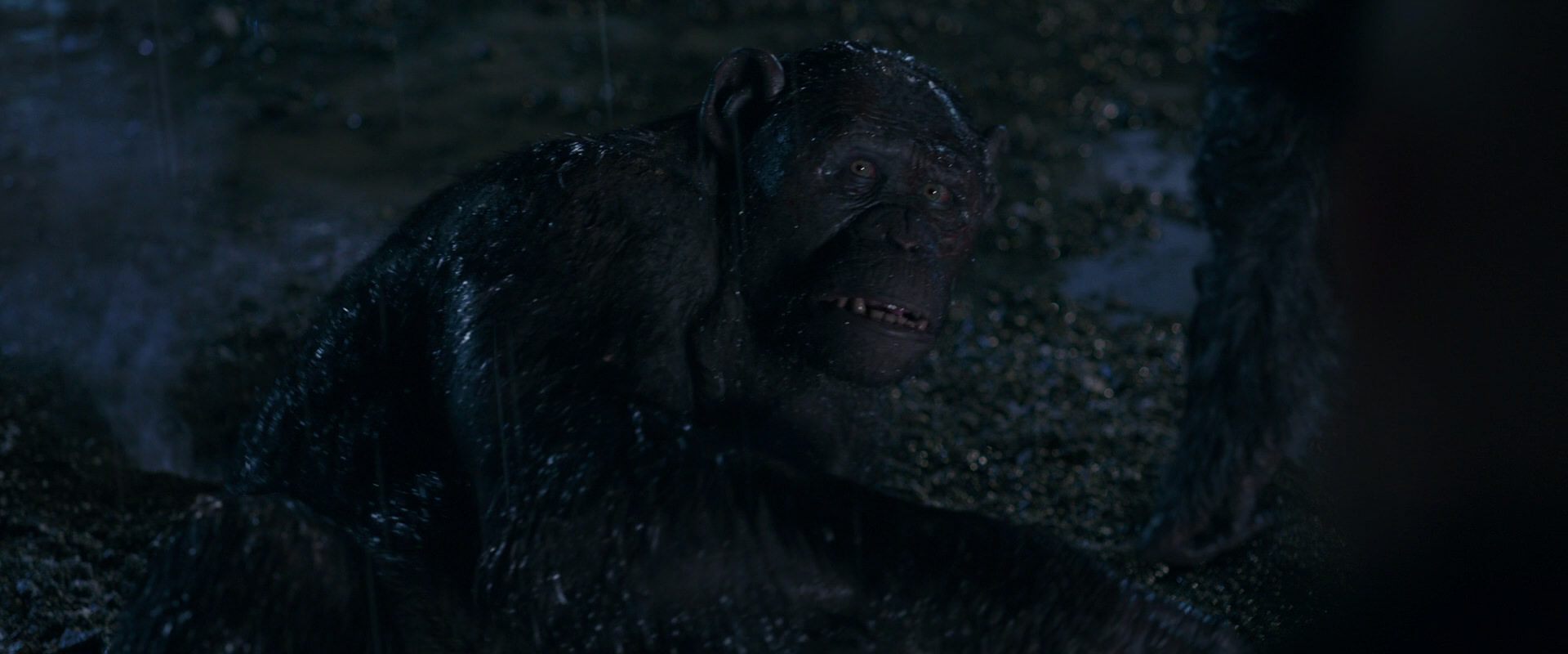 War for the Planet of the Apes (2017) screencap 11262