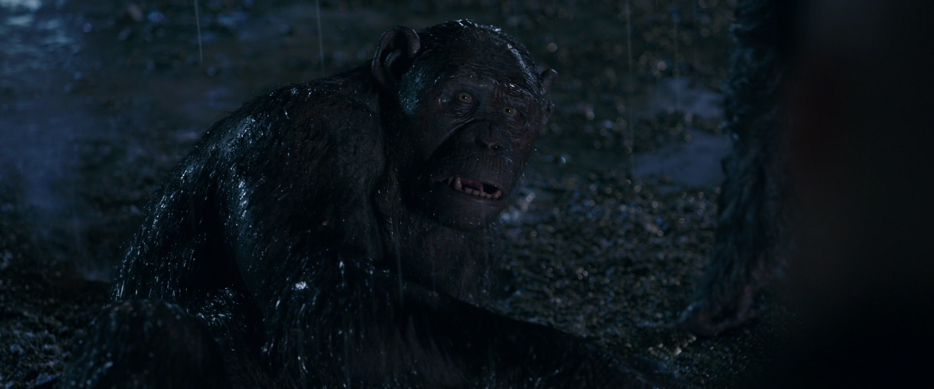 War for the Planet of the Apes (2017) movie still 11263