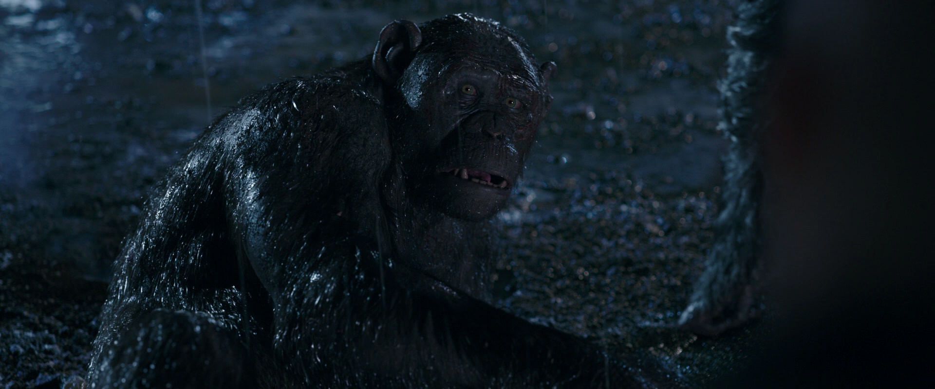 War for the Planet of the Apes (2017) HD screenshot 11264