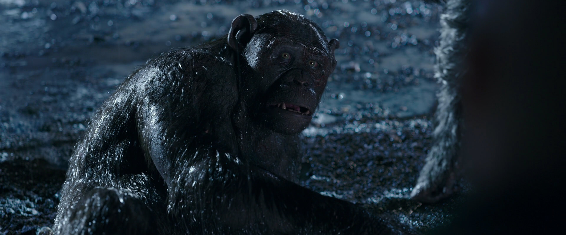 War for the Planet of the Apes (2017) screencap 11265