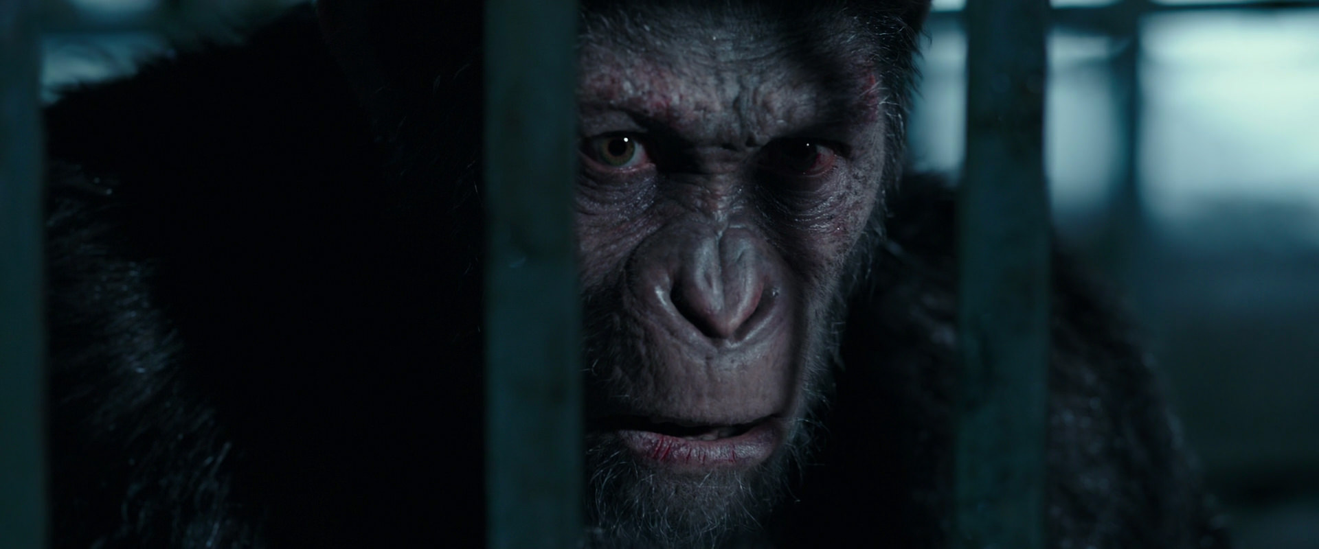 War for the Planet of the Apes (2017) movie still 11266