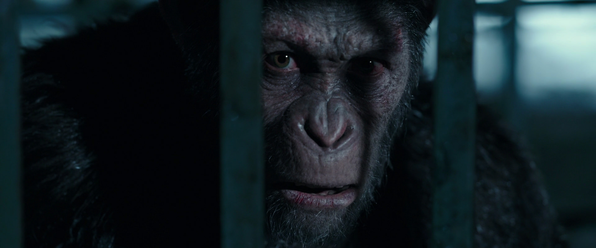 War for the Planet of the Apes (2017) HD screenshot 11267