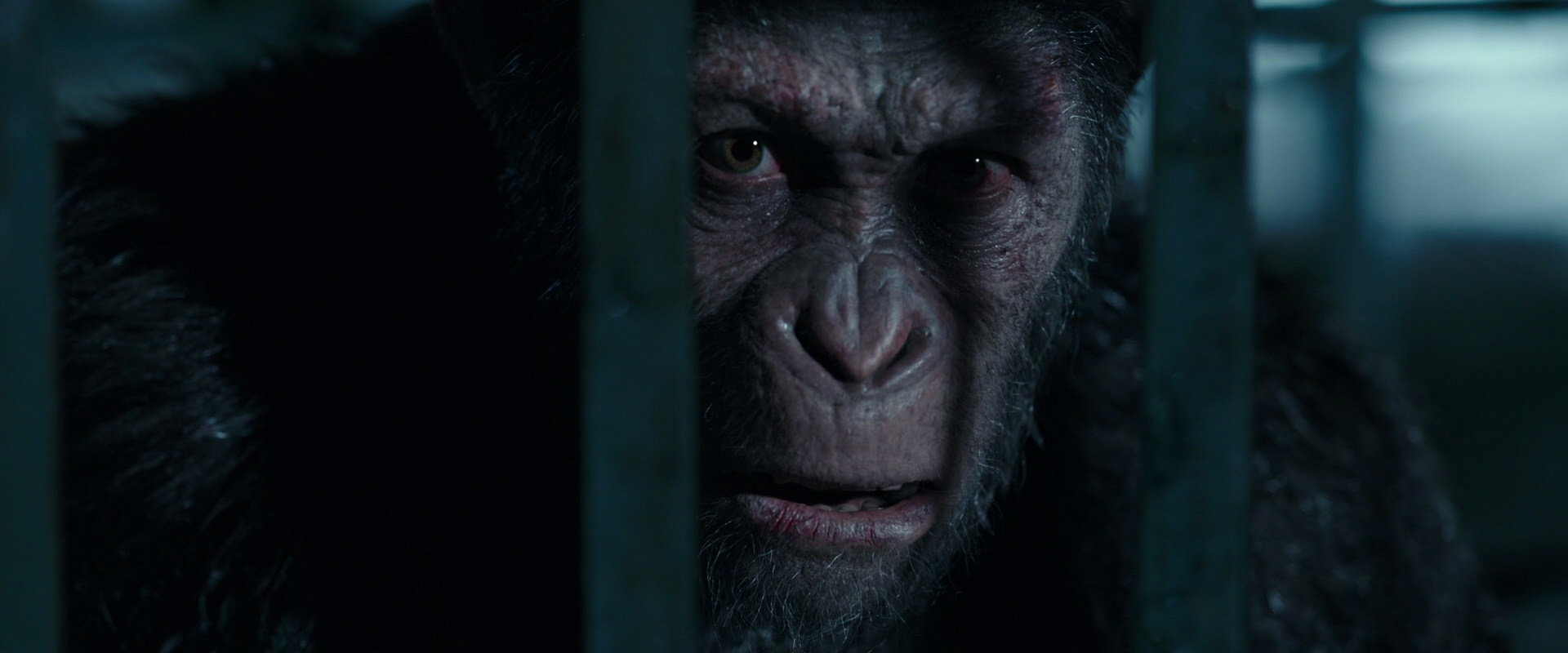War for the Planet of the Apes (2017) screencap 11268