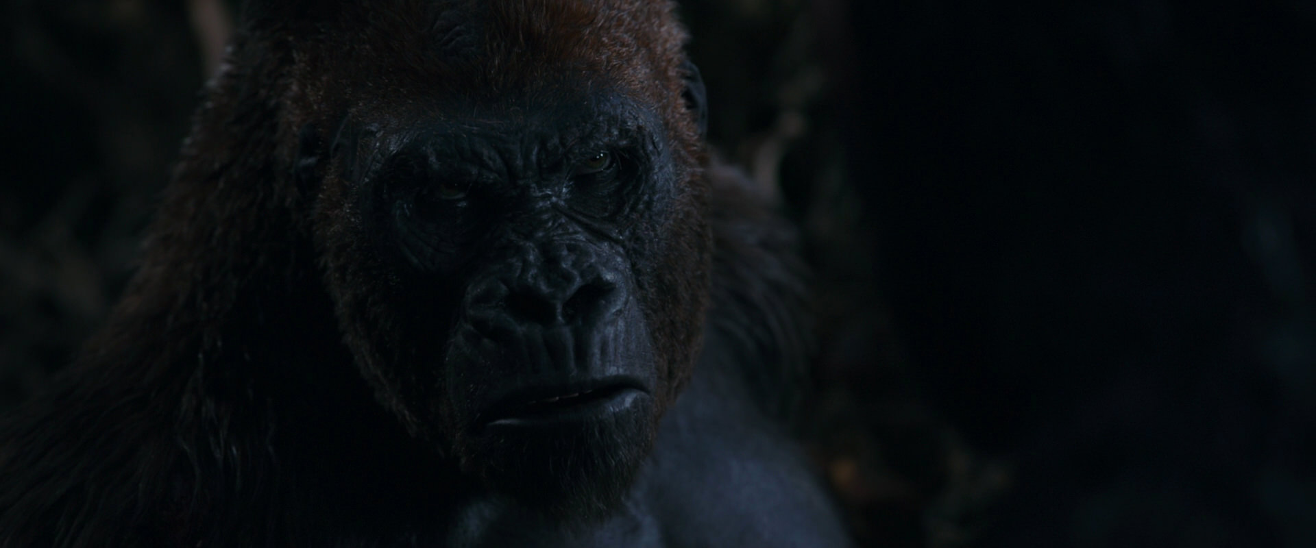 War for the Planet of the Apes (2017) HD screenshot 1127