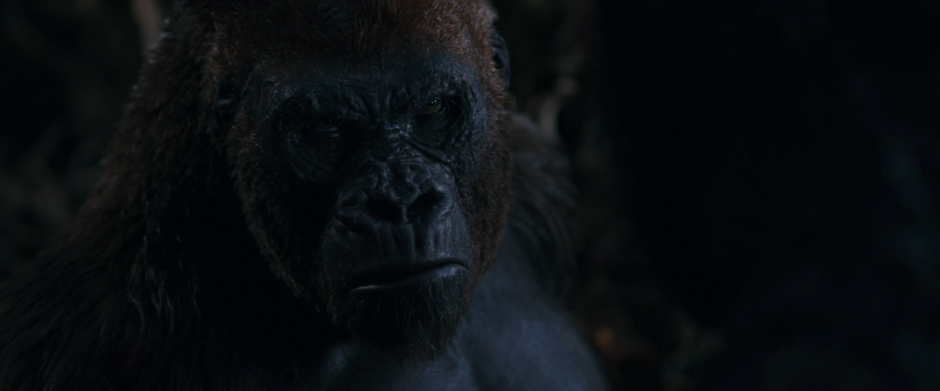 War for the Planet of the Apes (2017) screencap 1128