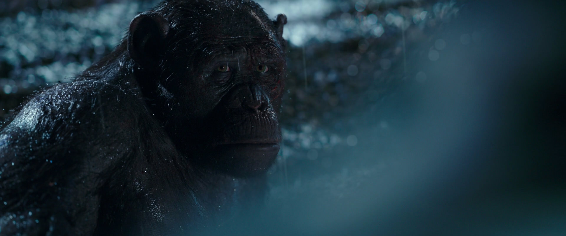 War for the Planet of the Apes (2017) HD screenshot 11288