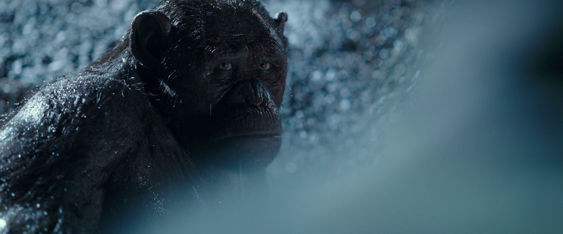 War for the Planet of the Apes (2017) screencap 11289