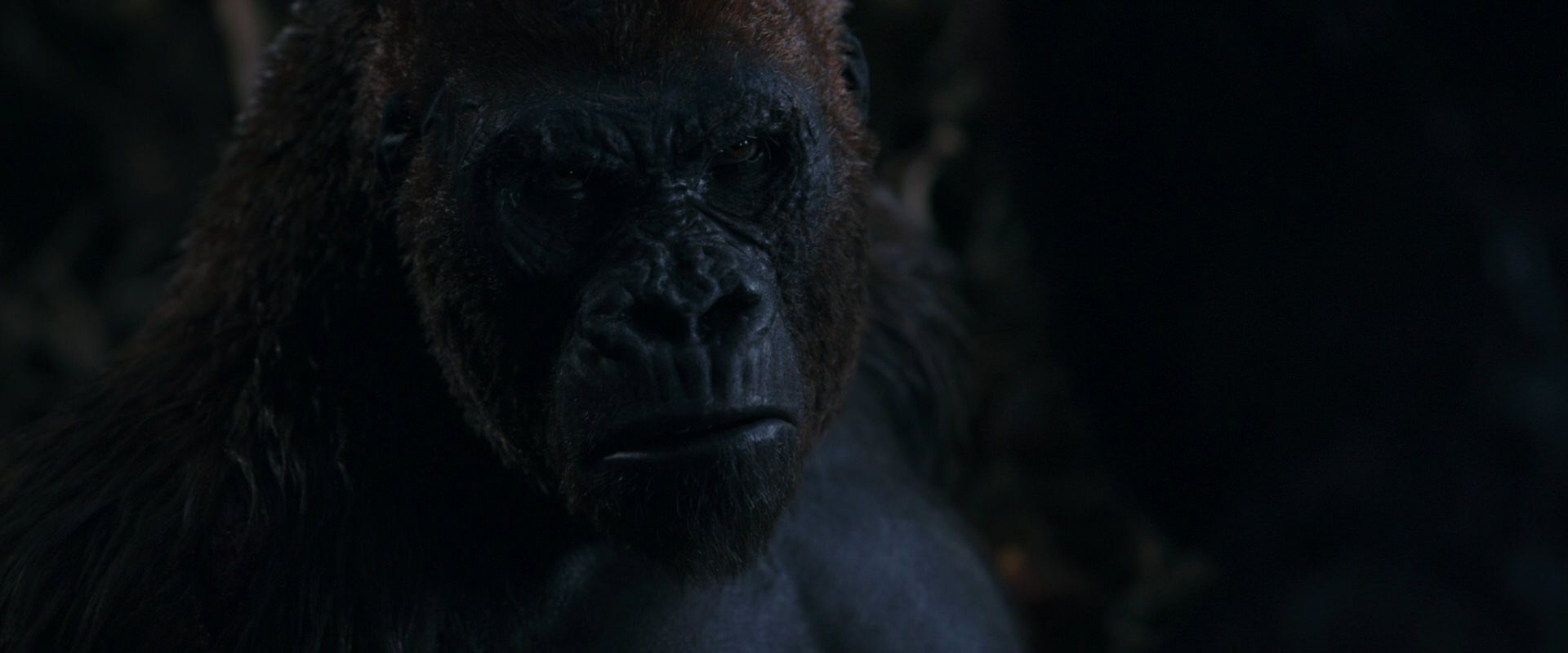War for the Planet of the Apes (2017) movie still 1129