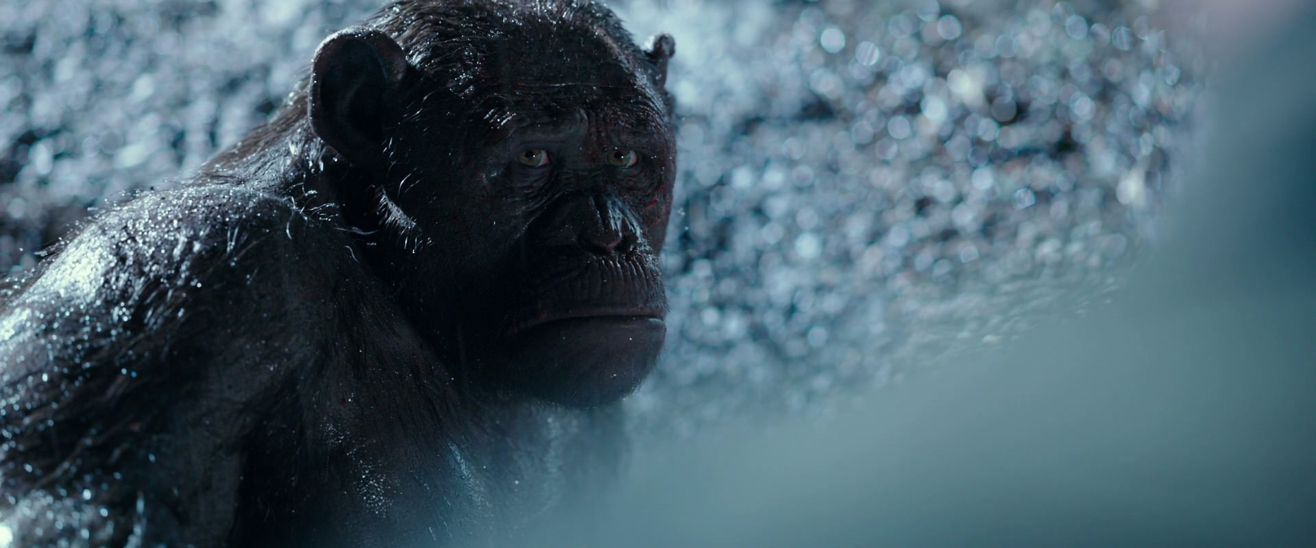 War for the Planet of the Apes (2017) movie still 11290
