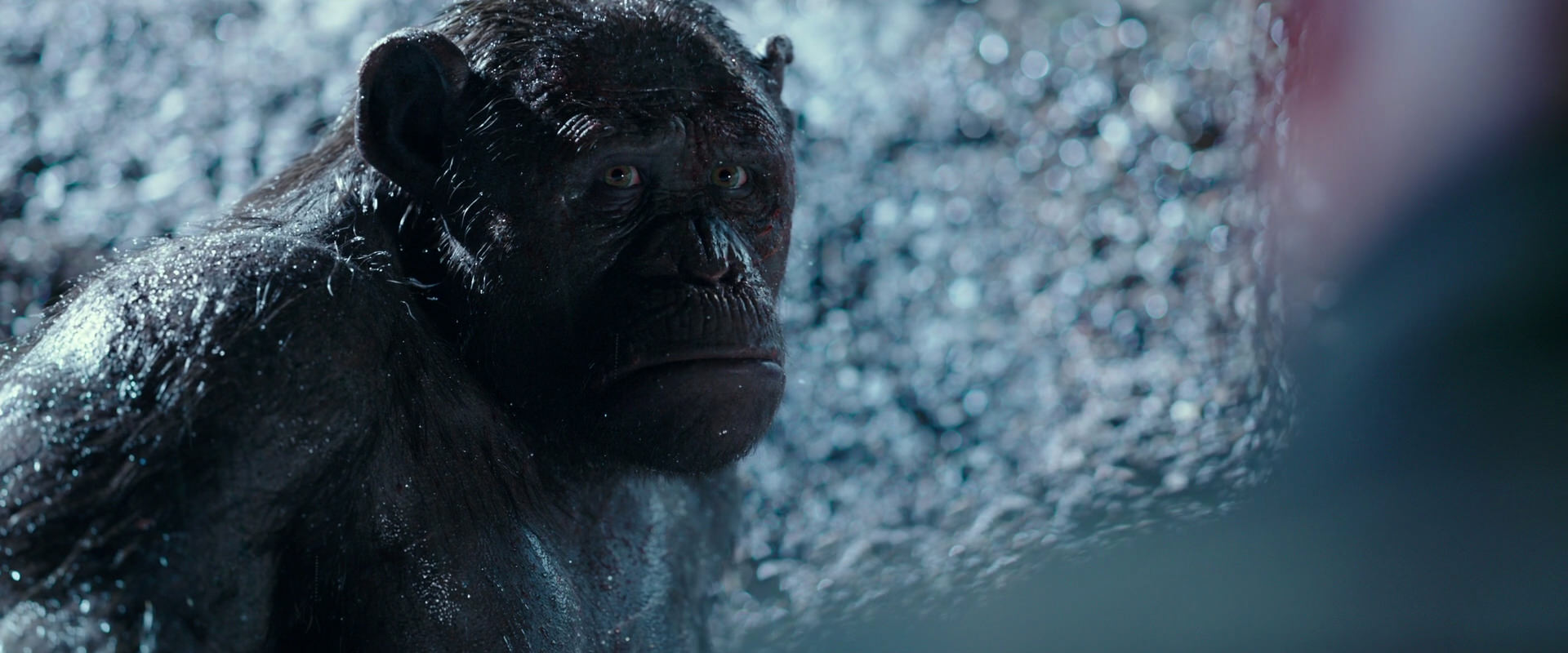 War for the Planet of the Apes (2017) HD screenshot 11291
