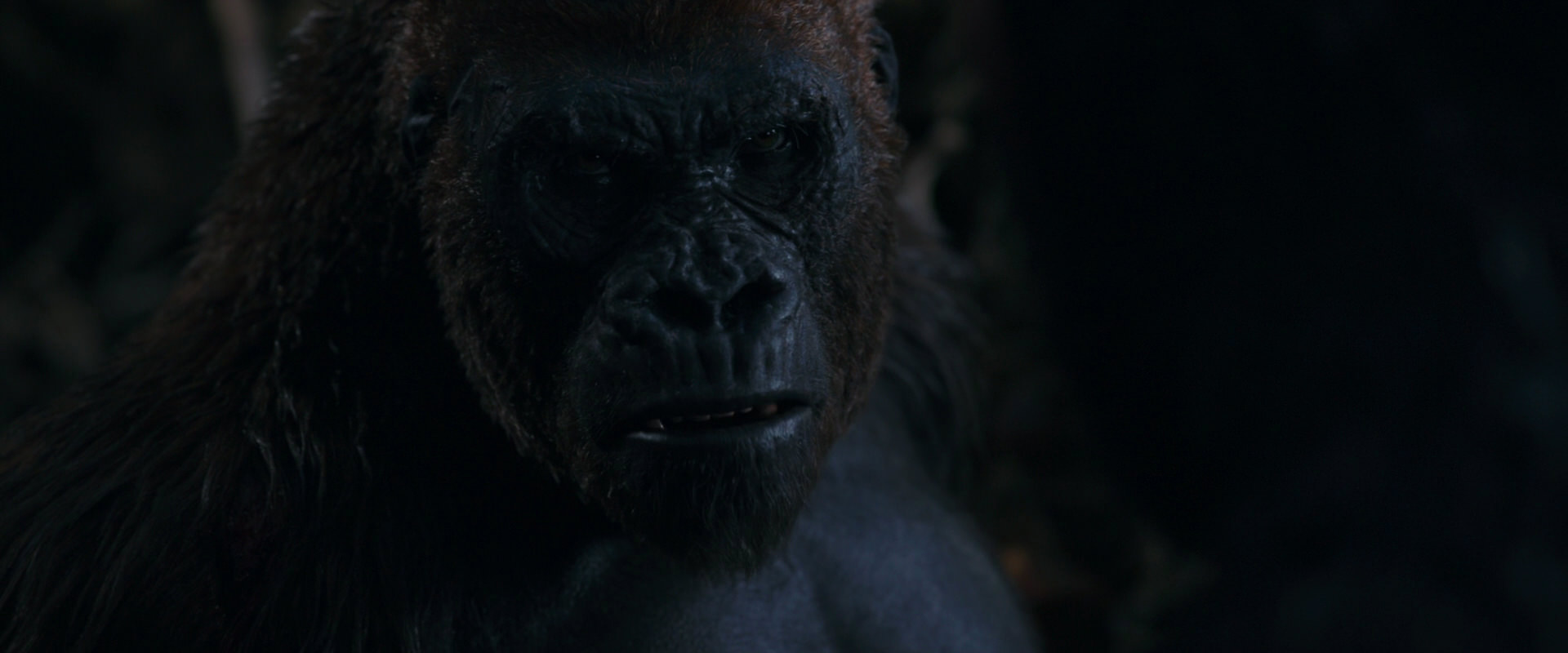 War for the Planet of the Apes (2017) HD screenshot 1130