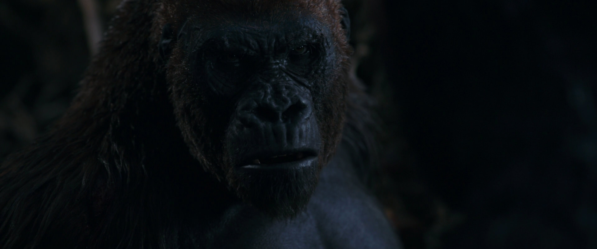 War for the Planet of the Apes (2017) screencap 1131