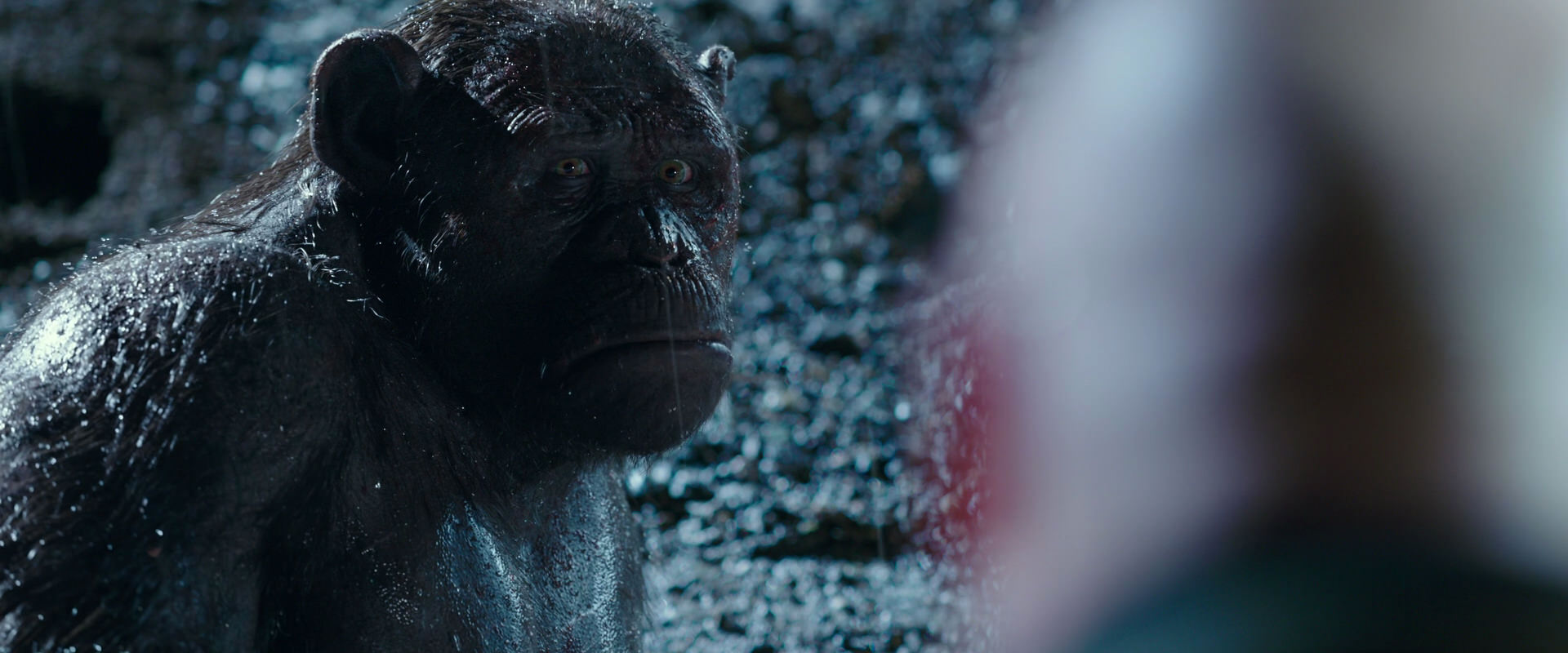 War for the Planet of the Apes (2017) HD screenshot 11312