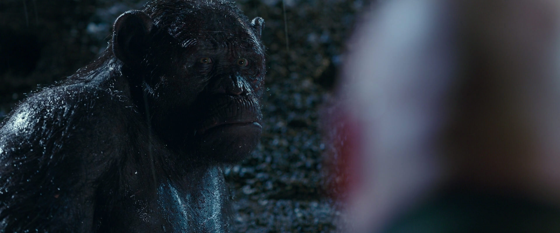 War for the Planet of the Apes (2017) screencap 11313