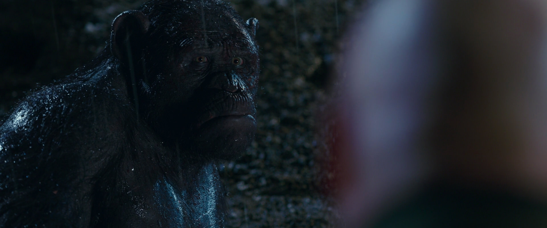 War for the Planet of the Apes (2017) movie still 11314
