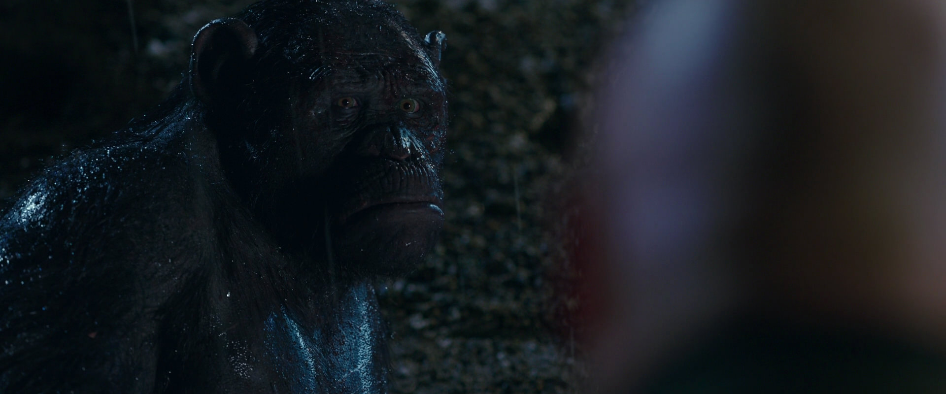 War for the Planet of the Apes (2017) HD screenshot 11315
