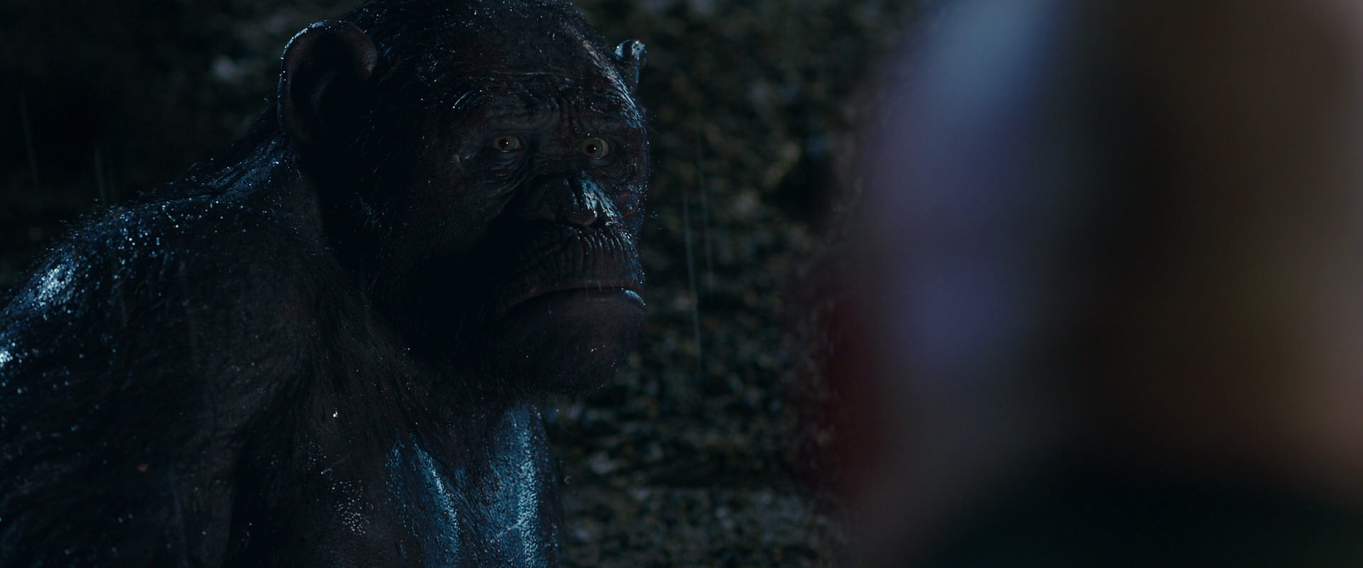 War for the Planet of the Apes (2017) screencap 11316