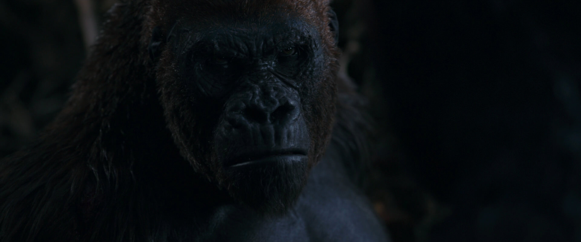 War for the Planet of the Apes (2017) movie still 1132