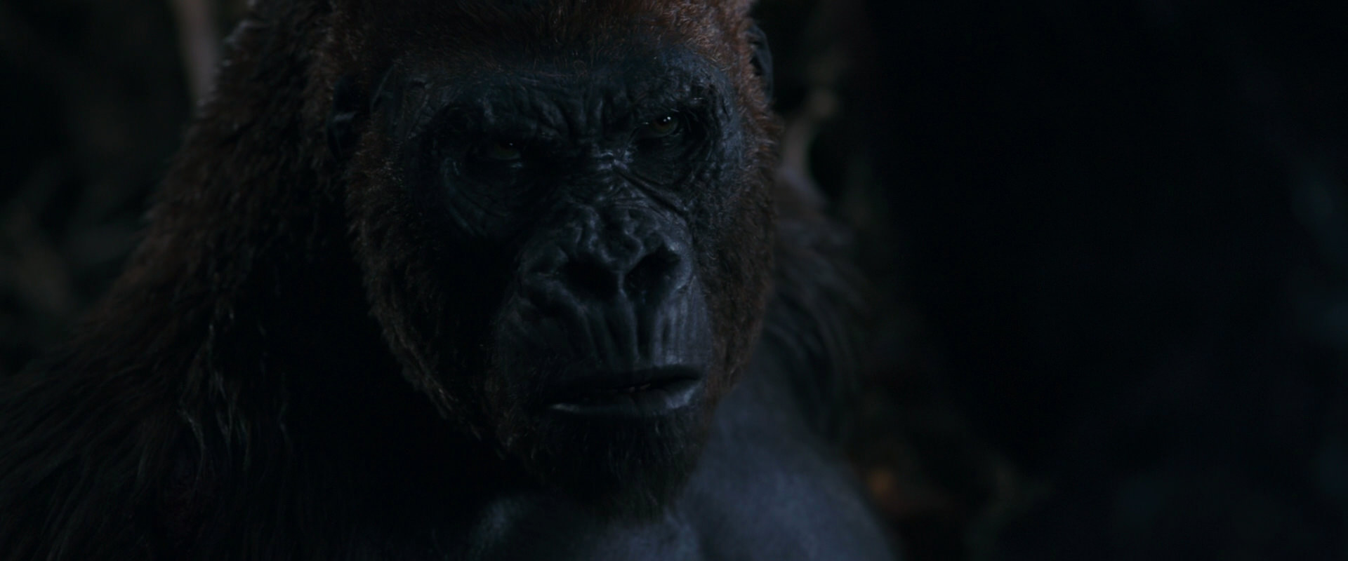 War for the Planet of the Apes (2017) HD screenshot 1133