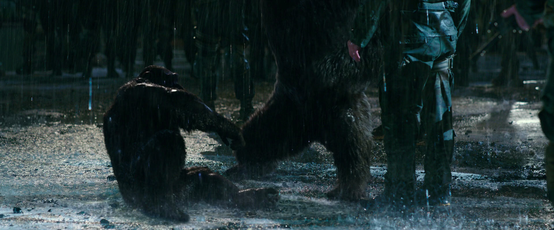 War for the Planet of the Apes (2017) movie still 11335