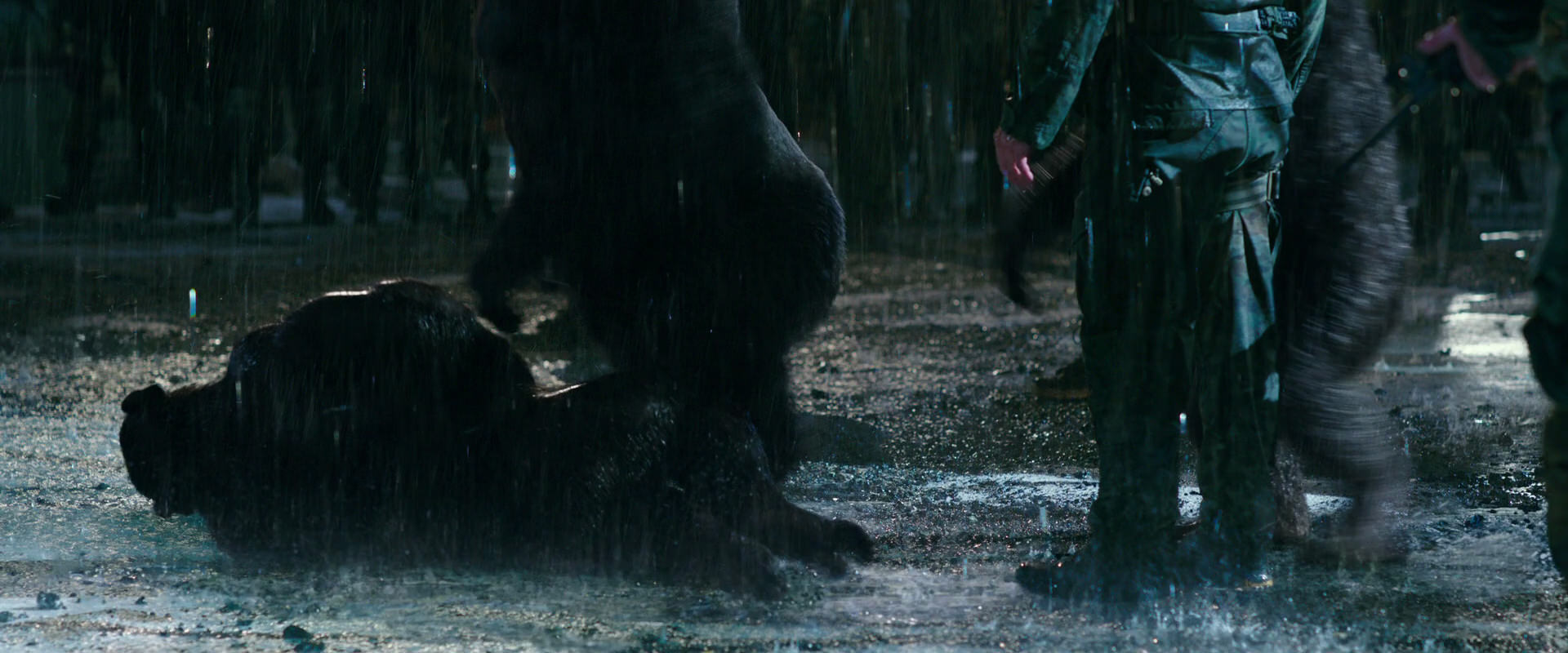 War for the Planet of the Apes (2017) screencap 11337