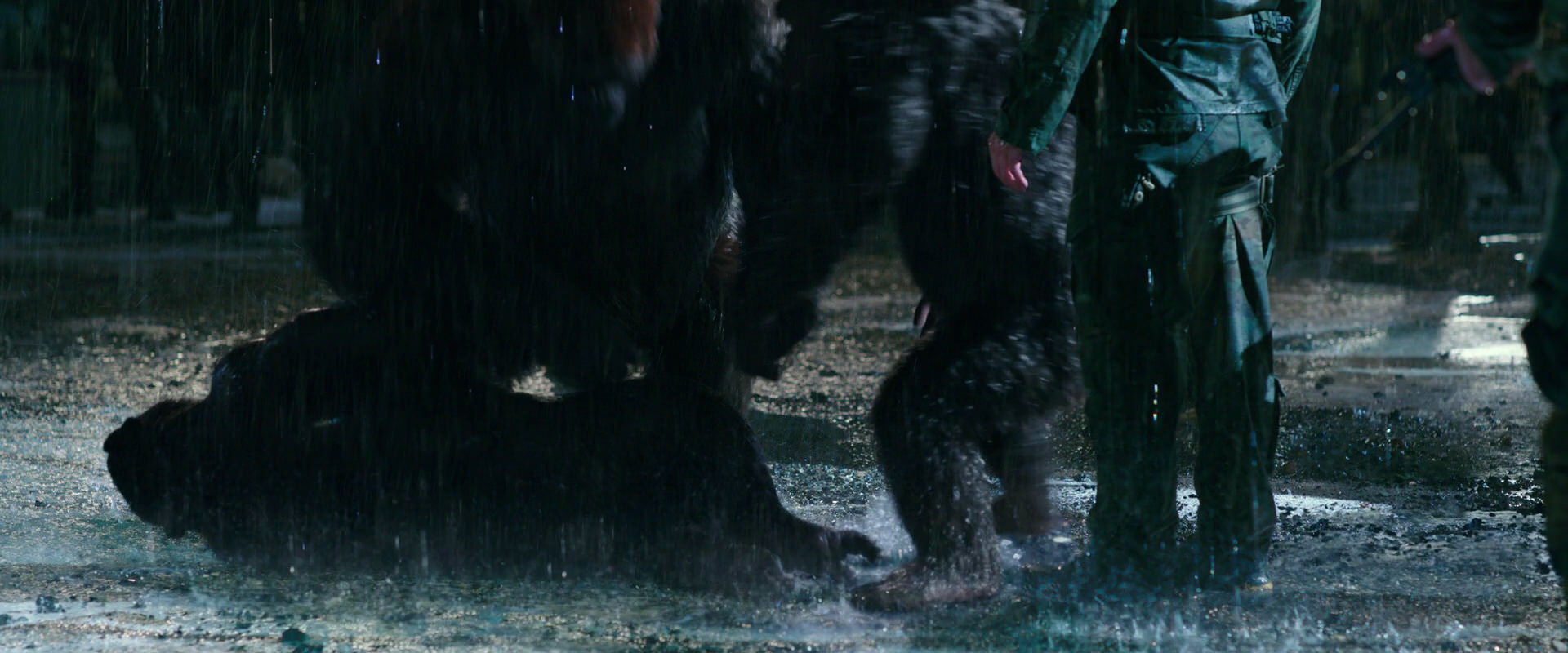 War for the Planet of the Apes (2017) movie still 11338