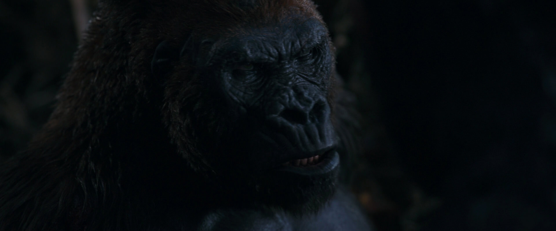 War for the Planet of the Apes (2017) screencap 1134