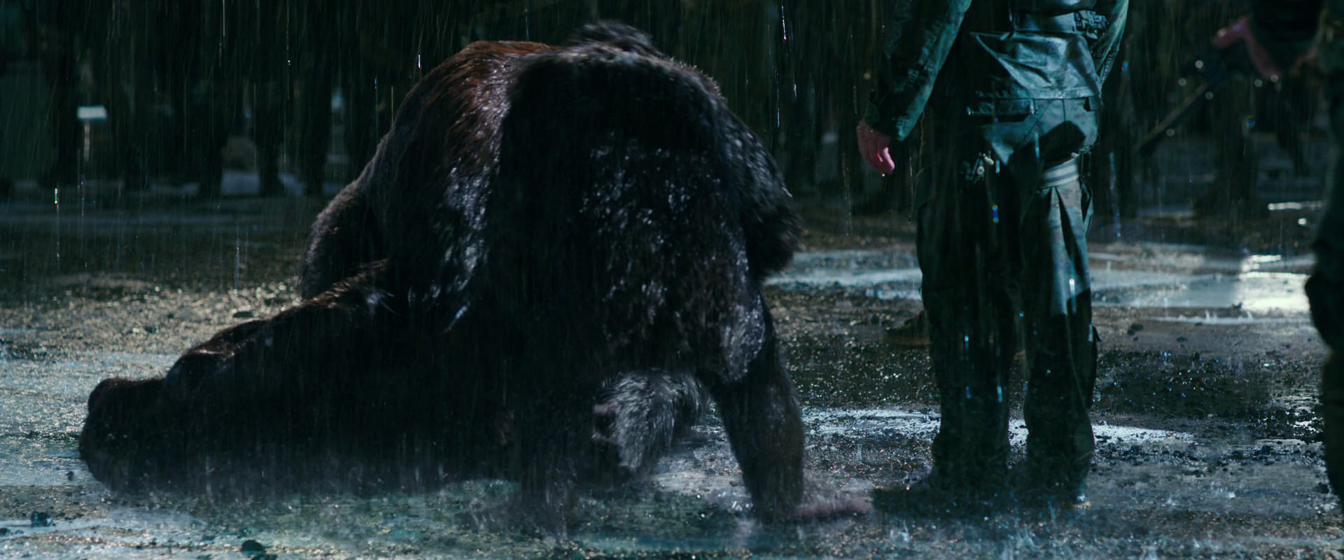 War for the Planet of the Apes (2017) screencap 11340