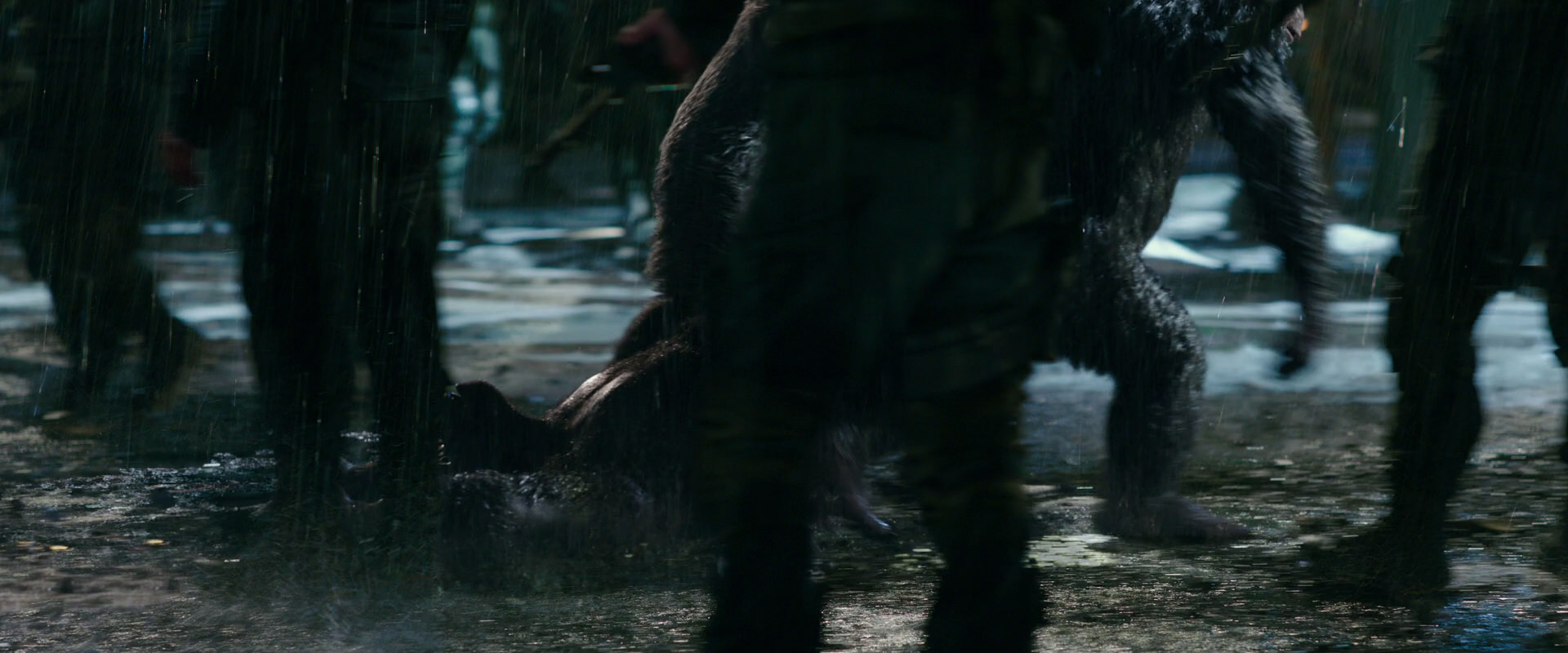 War for the Planet of the Apes (2017) movie still 11347