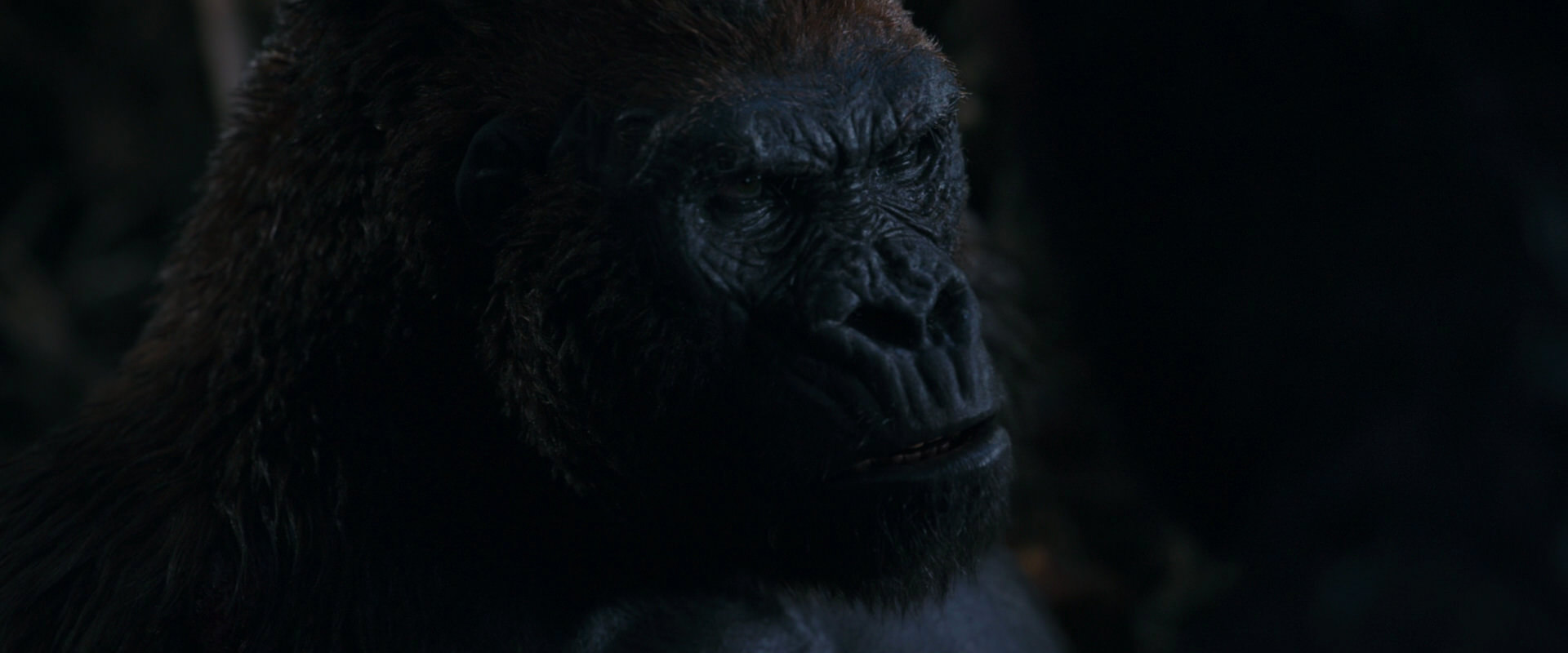 War for the Planet of the Apes (2017) movie still 1135