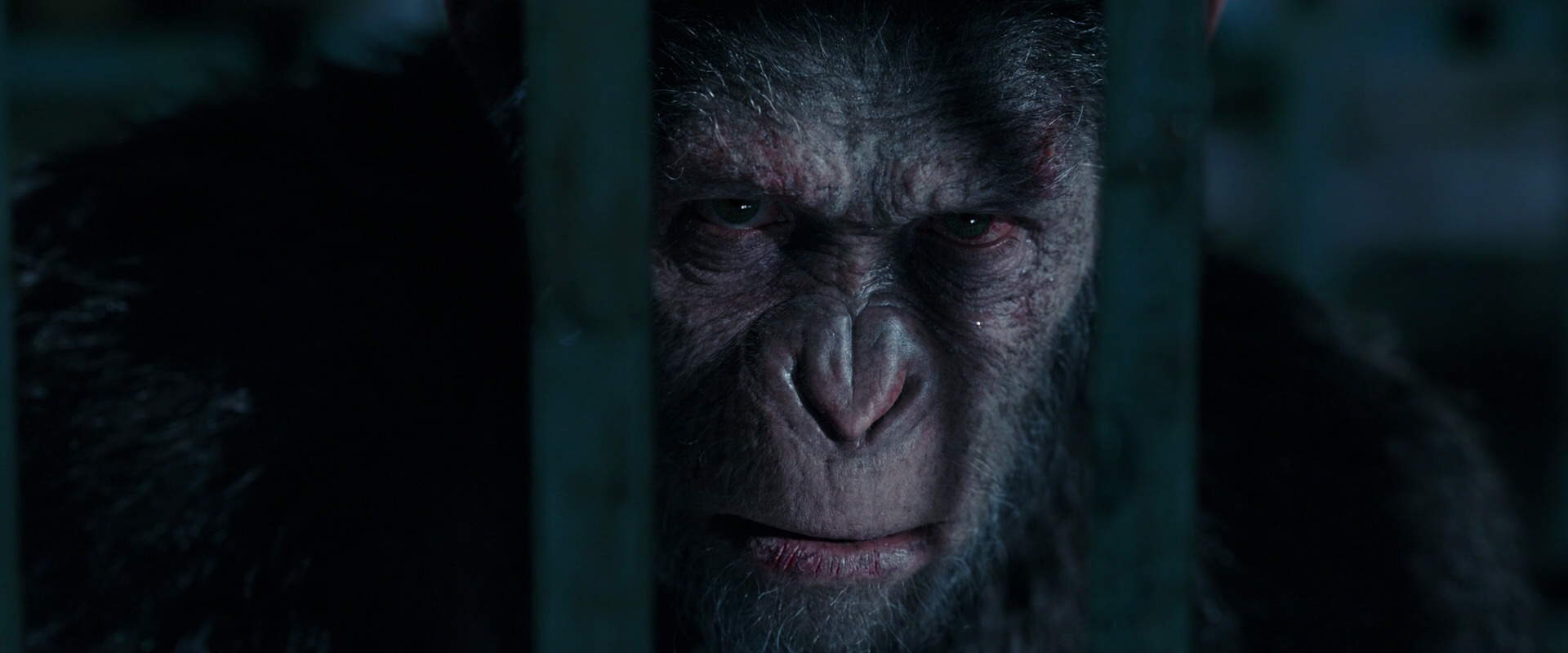 War for the Planet of the Apes (2017) screencap 11352