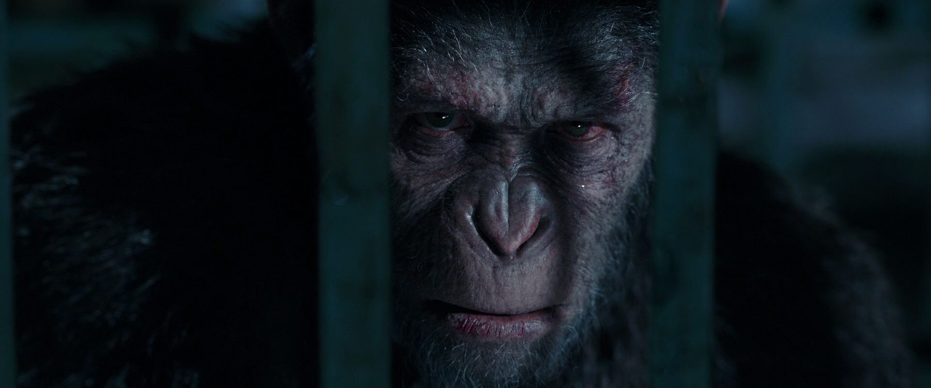 War for the Planet of the Apes (2017) movie still 11353