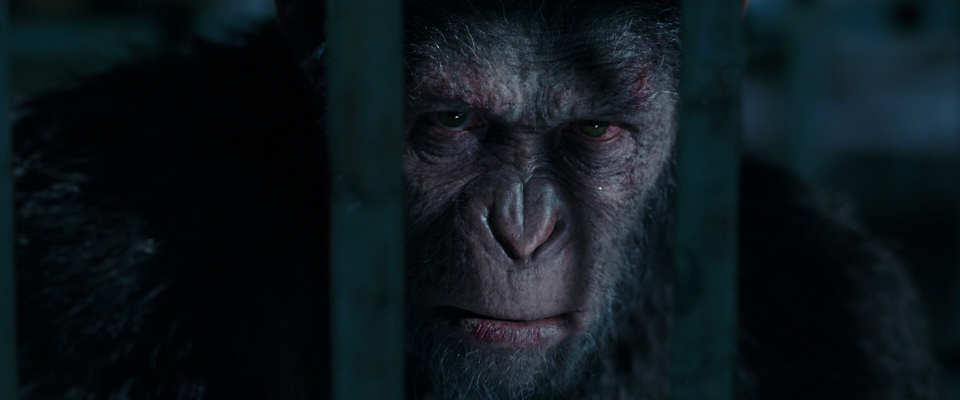 War for the Planet of the Apes (2017) HD screenshot 11354