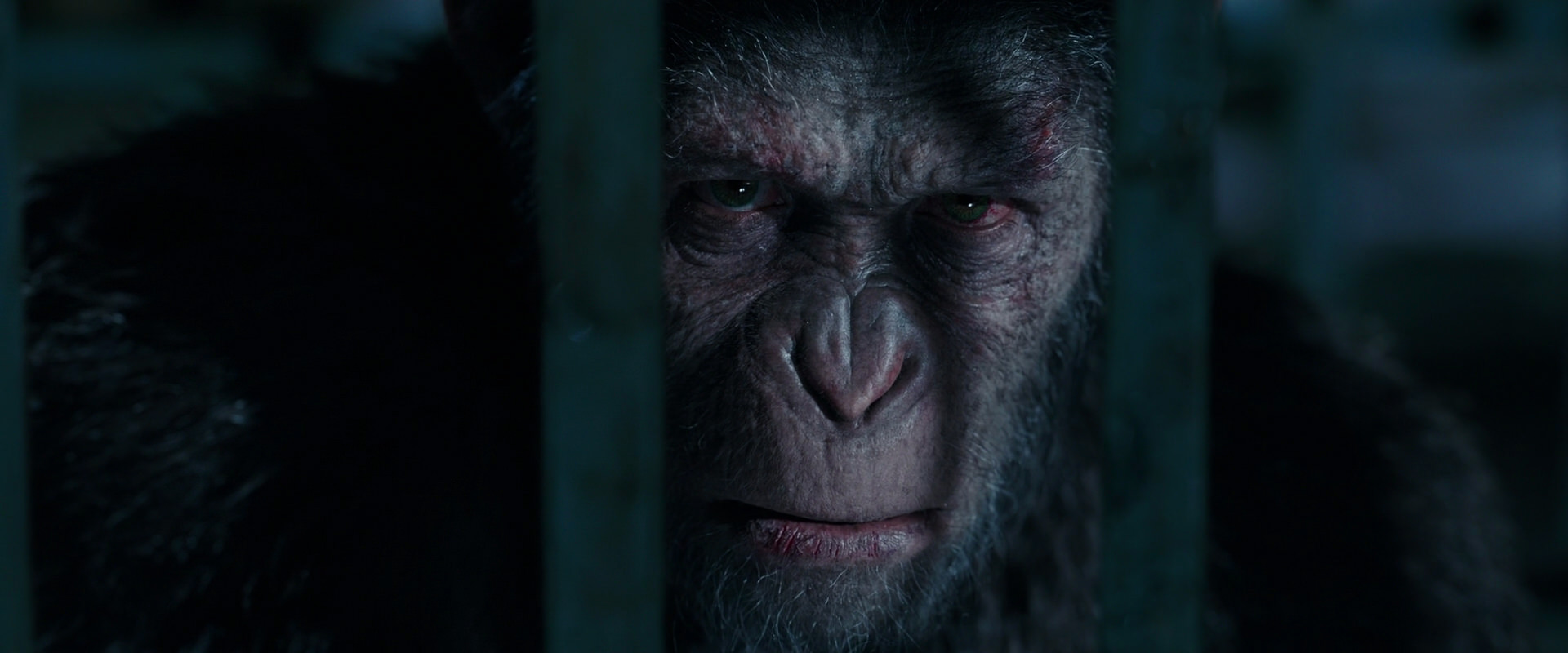 War for the Planet of the Apes (2017) screencap 11355